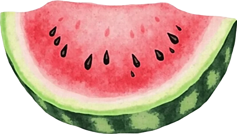 Watermelon Slice